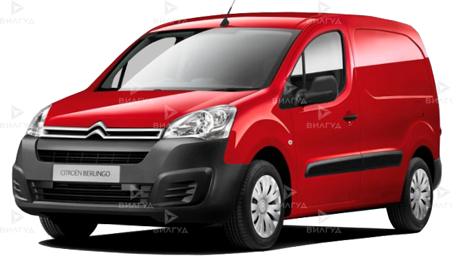 Диагностика Citroen Berlingo в Сургуте