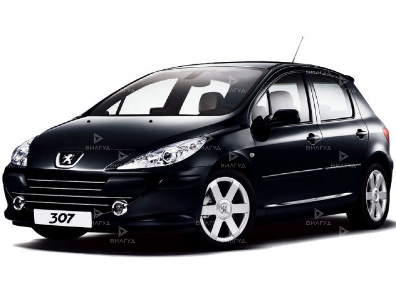 Диагностика двигателя Peugeot 307 в Сургуте