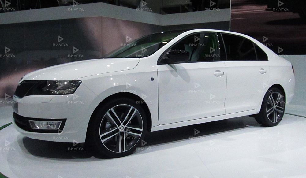 Диагностика двигателя Škoda Rapid в Сургуте