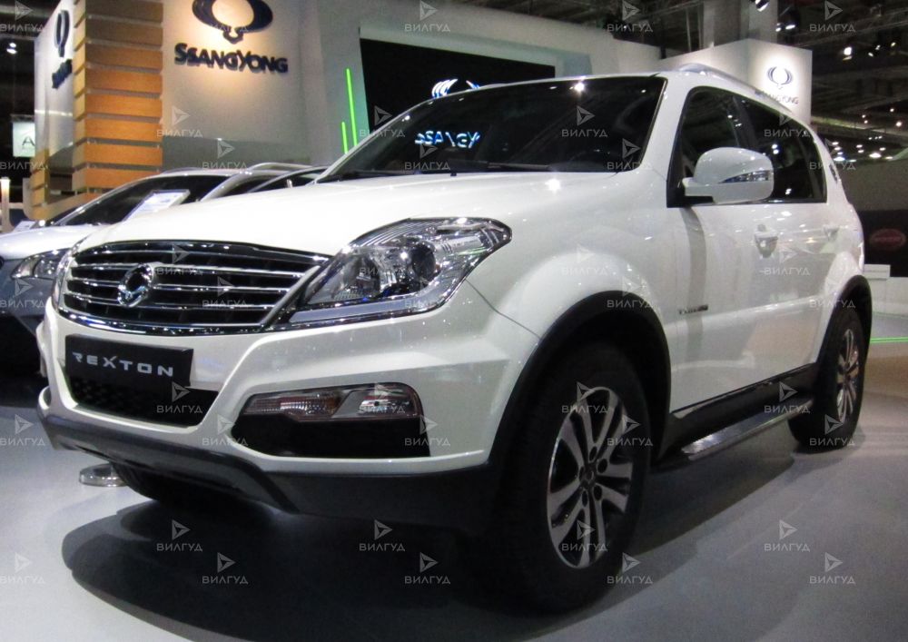 Диагностика двигателя Ssangyong Rexton в Сургуте