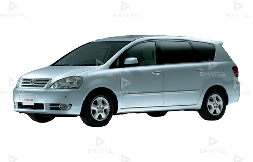 Диагностика двигателя Toyota Ipsum в Сургуте