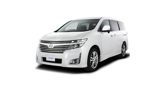 Диагностика подвески (ходовой) Nissan Elgrand в Сургуте