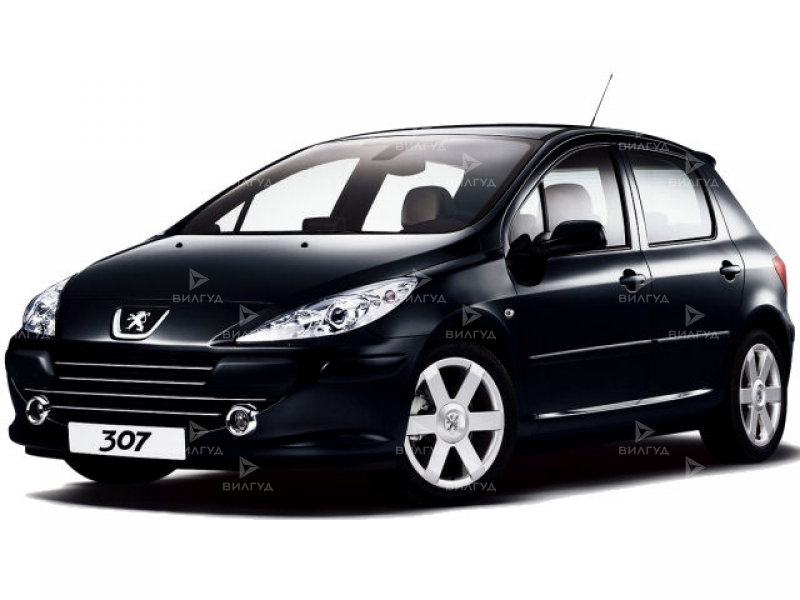 Замена поршневых колец Peugeot 307 в Сургуте Замена поршневых колец Peugeot 307 в Сургуте